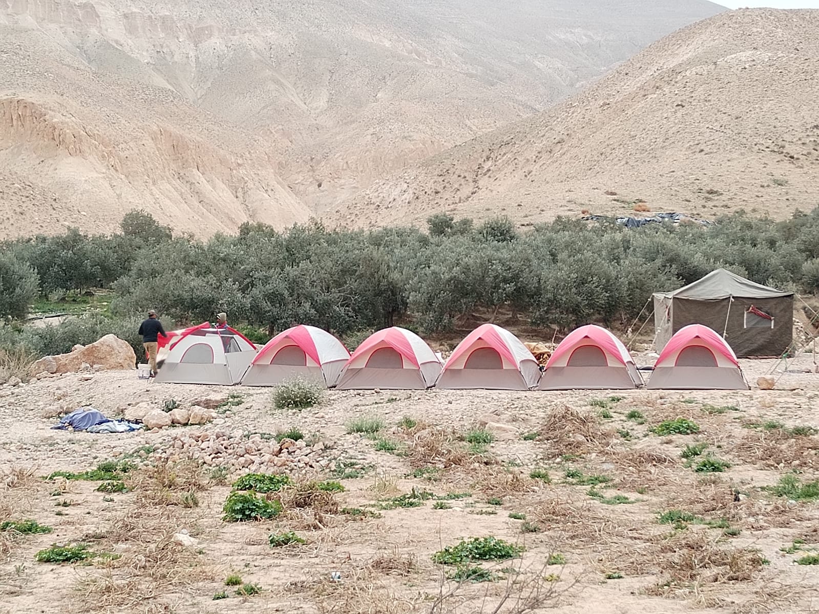 Trails of Time: The Dana to Petra Trek & Jordan Discovery - 09 Days